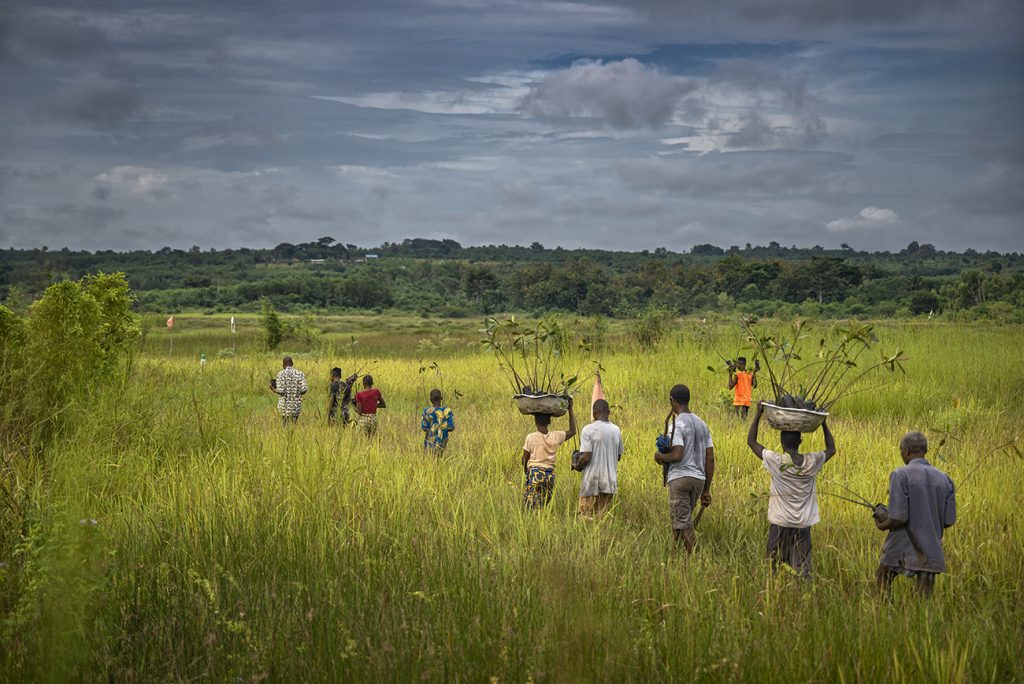 Semer la résilience, ensemble